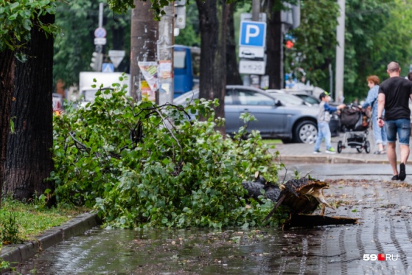 Из-за грозы и ветра могут упасть ветви деревьев. Будьте осторожны! Из-за грозы и ветра могут упасть ветви деревьев. Будьте осторожны!