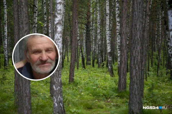 Николай ушел в лес за грибами и больше не выходил на связь Николай ушел в лес за грибами и больше не выходил на связь