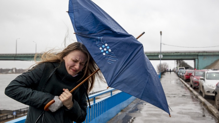 Экстренное предупреждение от МЧС: на Ярославль движется гроза и сильный ветер