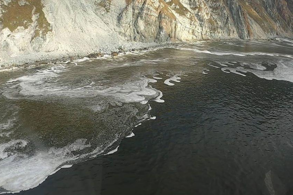 По одной из версий, опасные вещества в бухту принесла река По одной из версий, опасные вещества в бухту принесла река