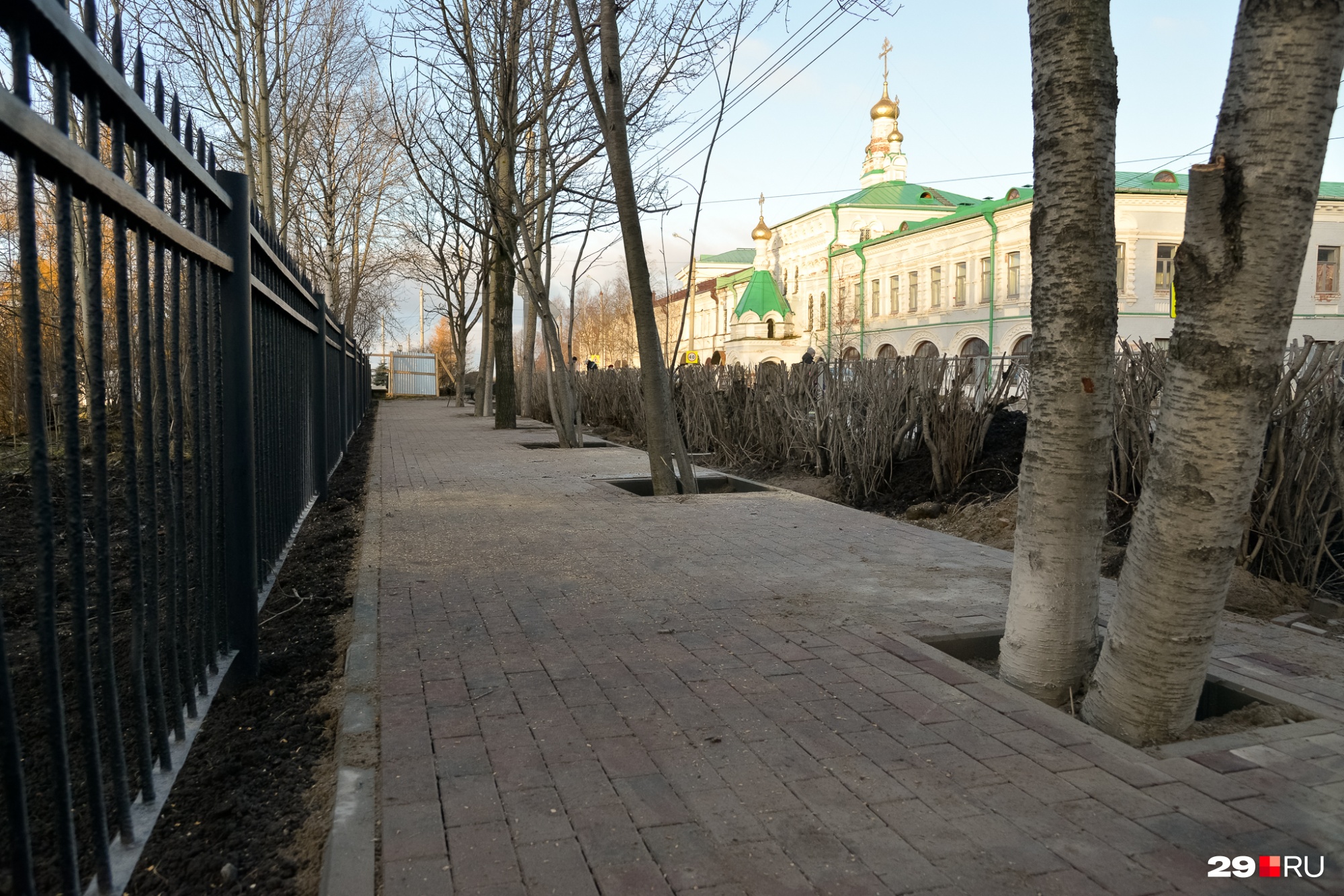 Архангельским активистам обещали, что деревья при благоустройстве не пострадают