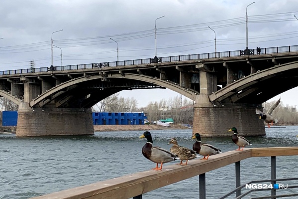 Весна вернется только к концу недели Весна вернется только к концу недели