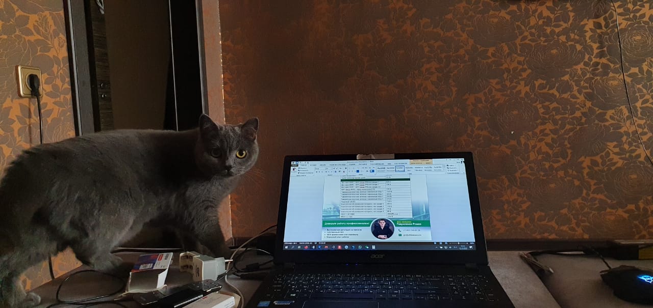 Ещё одна кошка, которая любит быть ближе к ноутбуку. Её хозяйка рассказывает: «Кошке Лизе очень нравится рабочий ноутбук, поэтому всегда во время работы она начинает тереться мордочкой об экран» Ещё одна кошка, которая любит быть ближе к ноутбуку. Её хозяйка рассказывает: «Кошке Лизе очень нравится рабочий ноутбук, поэтому всегда во время работы она начинает тереться мордочкой об экран»