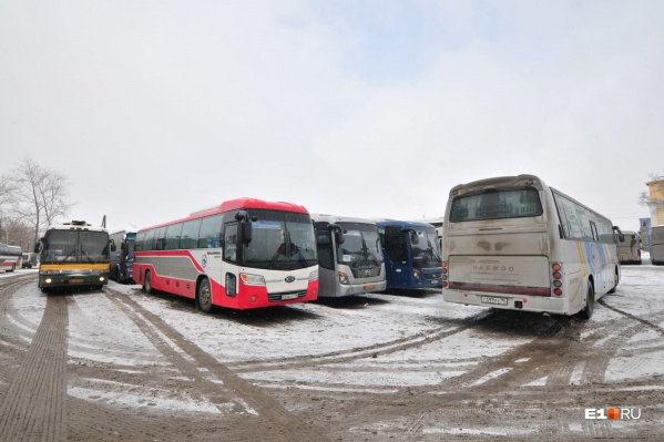 Остановка три мартышки какие автобусы ходят