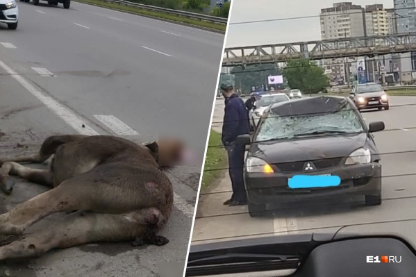 ДТП произошло сегодня в 08:20 ДТП произошло сегодня в 08:20