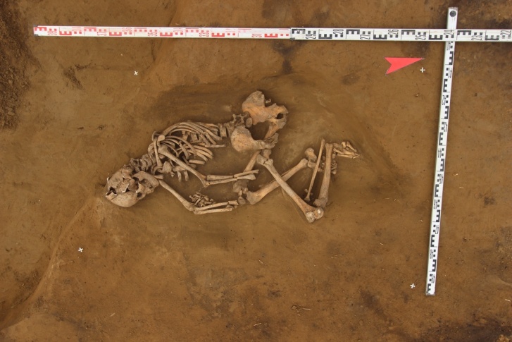 Скелет человека относится к эпохе раннего средневековья 