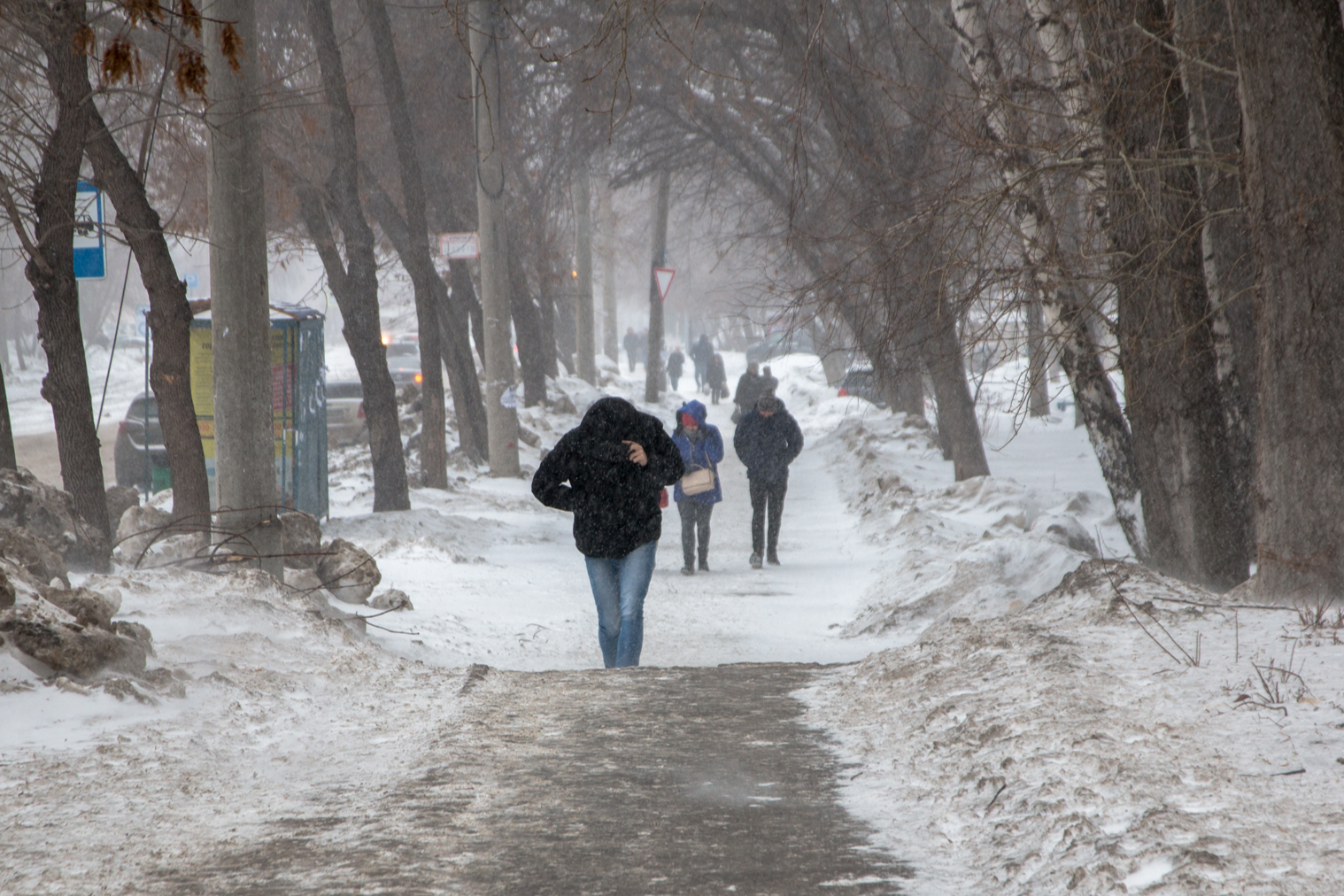 Когда потеплеет в самаре в мае. Самарская область снегопад. Потепление февраль. Оттепель в городе картинки. Самара снег.