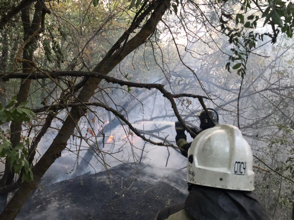 Крупный ландшафтный пожар в Каменском районе потушили