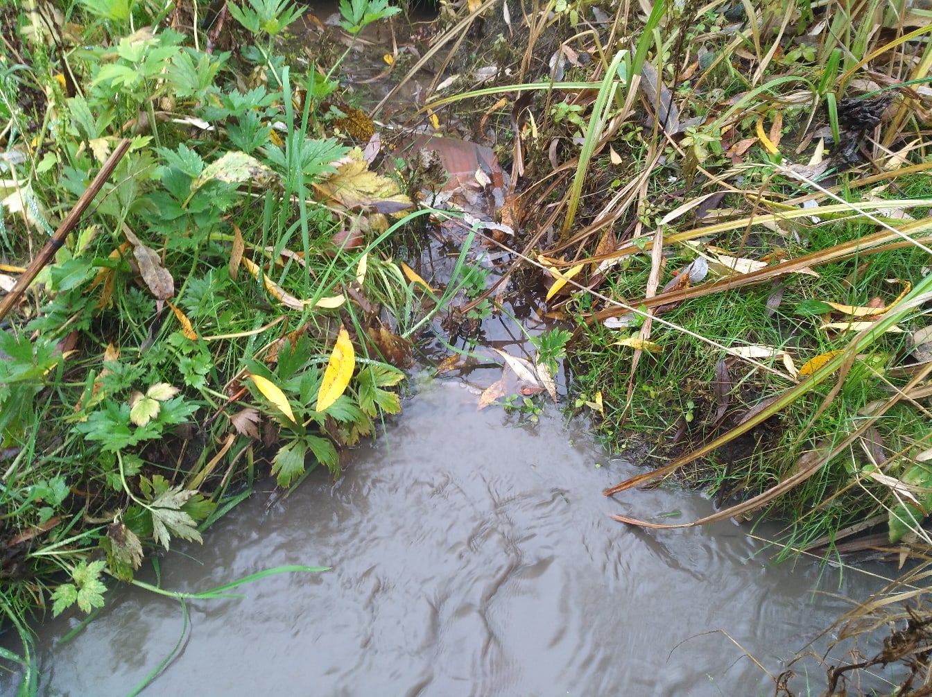 Вода в речке Уинке после сброса Вода в речке Уинке после сброса