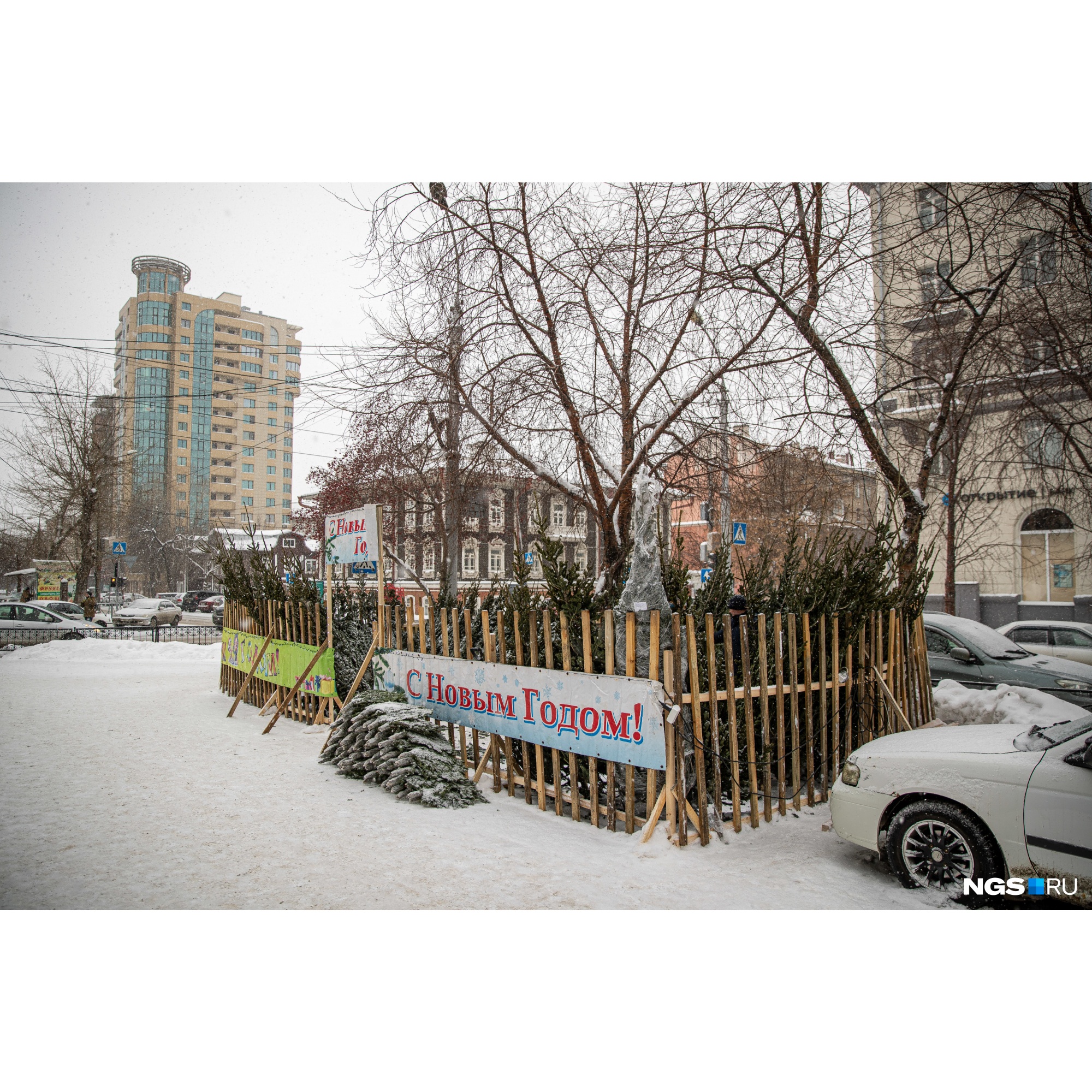 Площадь этого базара — 30 квадратных метров. Торговцы рассказывают, что нынче пихты стали дороже на <nobr class="_">200–300</nobr> рублей Площадь этого базара — 30 квадратных метров. Торговцы рассказывают, что нынче пихты стали дороже на <nobr class="_">200–300</nobr> рублей