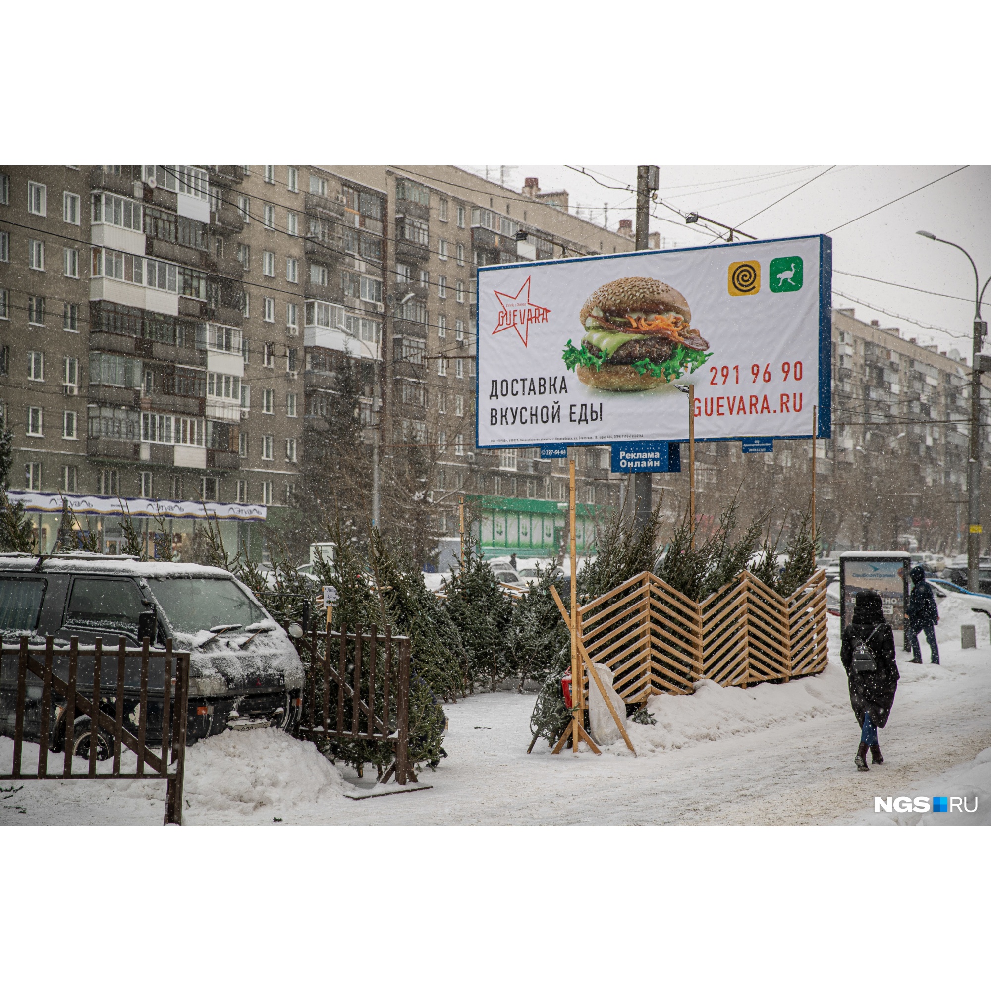 Пару самых дорогих пихт на этом рынке уже раскупили Пару самых дорогих пихт на этом рынке уже раскупили