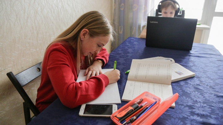 «Это тараканы родителей и детей»: доцент ОмГПУ об идее отменить домашние задания в школах