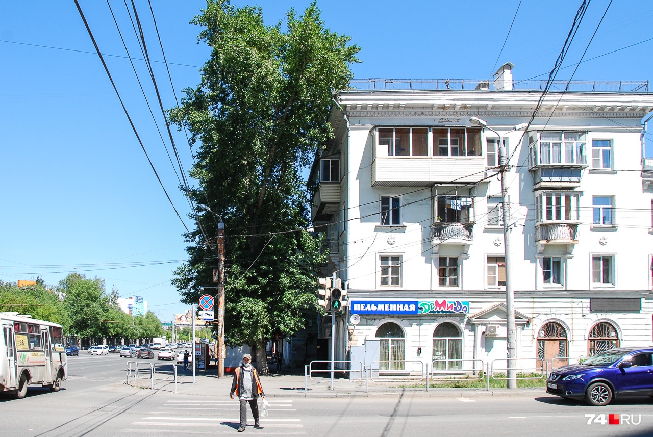 А тополя, кстати, — рекордсмены по выработке кислорода и абсорбции пыли А тополя, кстати, — рекордсмены по выработке кислорода и абсорбции пыли