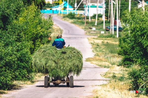 Вы бы согласились здесь пожить? Вы бы согласились здесь пожить?