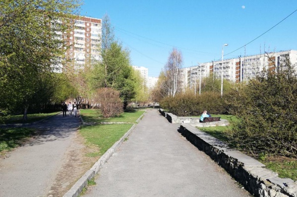 В сквере на Опалихинской много зелени, но он явно нуждается в ремонте, который в этом году сорвался В сквере на Опалихинской много зелени, но он явно нуждается в ремонте, который в этом году сорвался