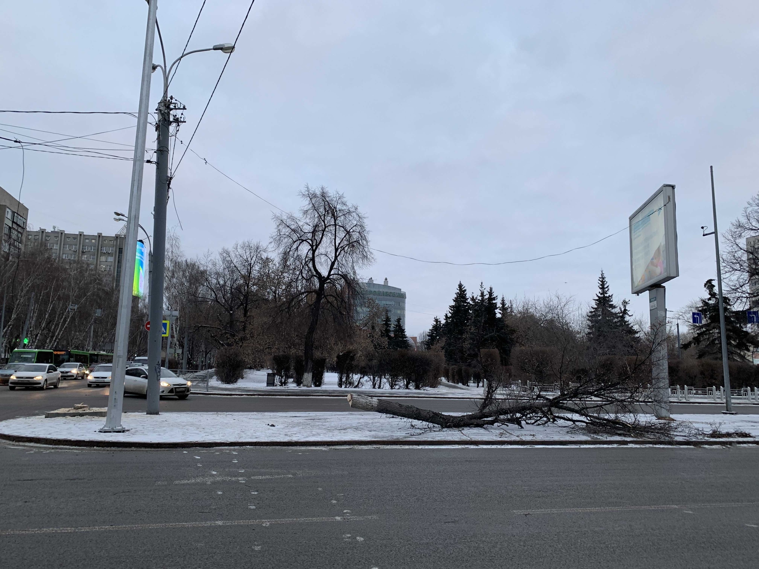 Если вы стали свидетелем, то можете обратиться в ведомство Если вы стали свидетелем, то можете обратиться в ведомство