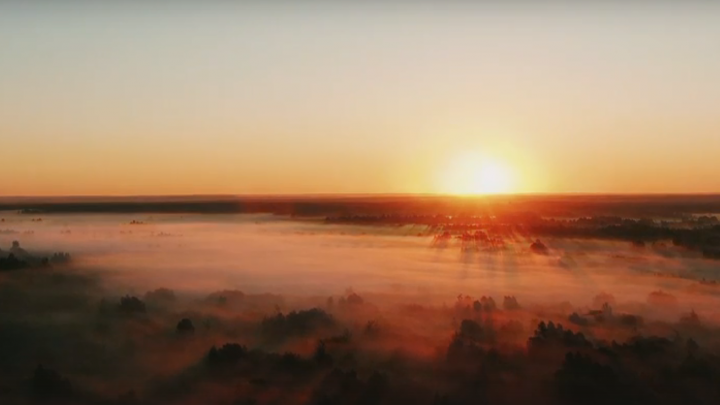 Видео дня: фантастический туман в Нижегородской области