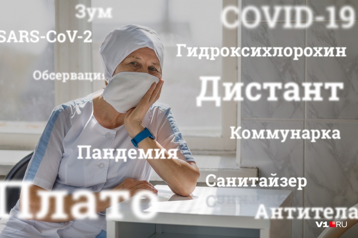 На дистанте из-за COVID-19 все разговоры о плато да пандемии На дистанте из-за COVID-19 все разговоры о плато да пандемии