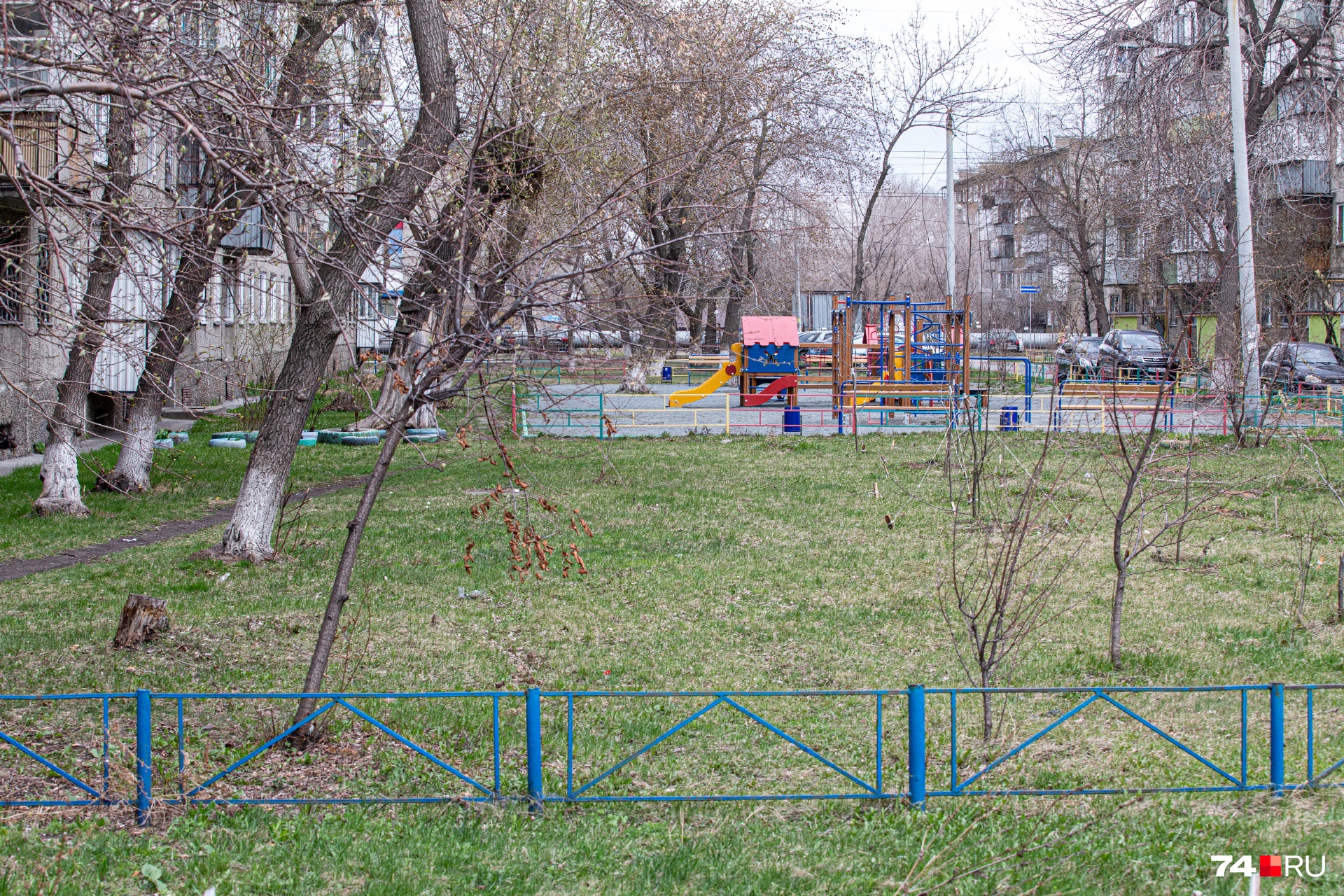 Так выглядит соседний двор, благоустроенный в прошлом году. Деревьев тут немало Так выглядит соседний двор, благоустроенный в прошлом году. Деревьев тут немало