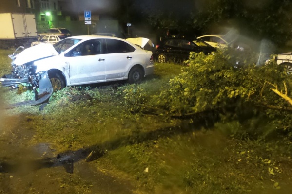 Водитель не справился с управлением, снес дерево и врезался в столб Водитель не справился с управлением, снес дерево и врезался в столб