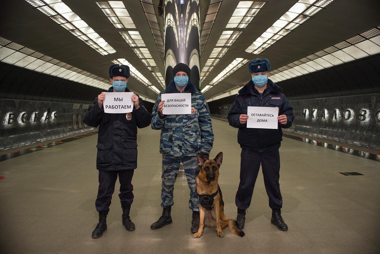 Доброе утро полиция