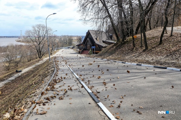 Не паркуйтесь рядом с деревьями Не паркуйтесь рядом с деревьями