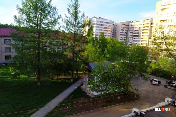 Зато вид из окна палаты в целом неплох Зато вид из окна палаты в целом неплох