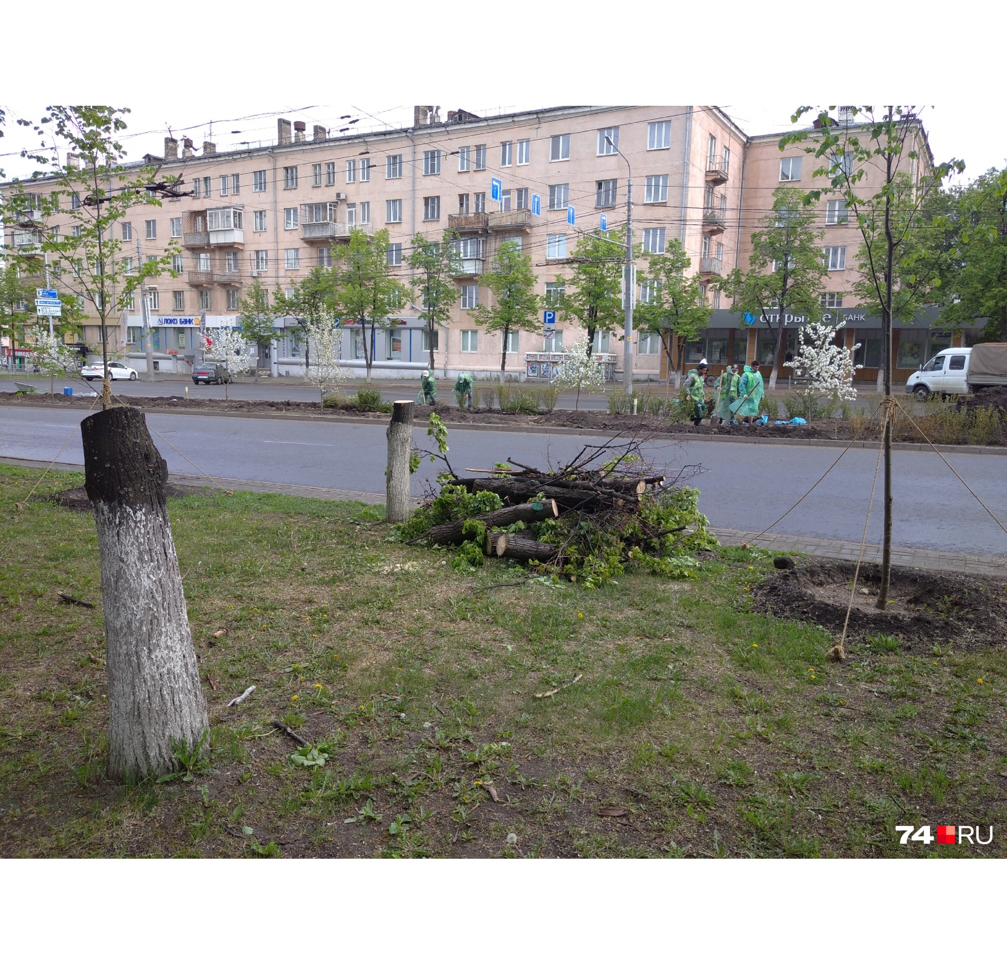 Этот кадр вобрал в себя весь абсурд происходящего: саженцы, спиленные взрослые деревья и садовники на заднем плане, старательно делающие наш город красивее Этот кадр вобрал в себя весь абсурд происходящего: саженцы, спиленные взрослые деревья и садовники на заднем плане, старательно делающие наш город красивее