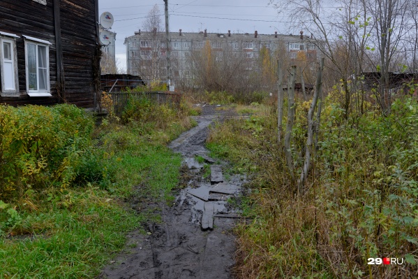 В городе есть территории, за которыми никто не следит. Ими и сможет заняться новое предприятие В городе есть территории, за которыми никто не следит. Ими и сможет заняться новое предприятие