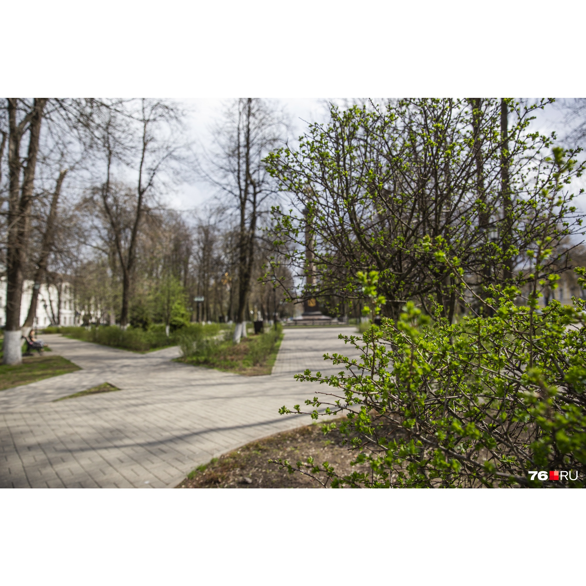 Так хочется гулять в парке... Так хочется гулять в парке...