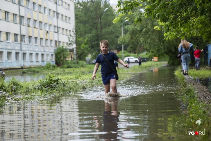 Дожди в Ярославле в последнее время кажутся не простым явлением погоды, а целой стихией