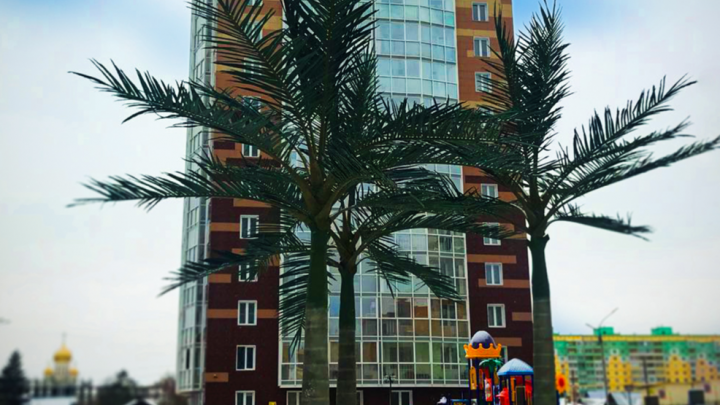 Вечное лето: на левом берегу строят жилой комплекс с пальмами и крымскими соснами