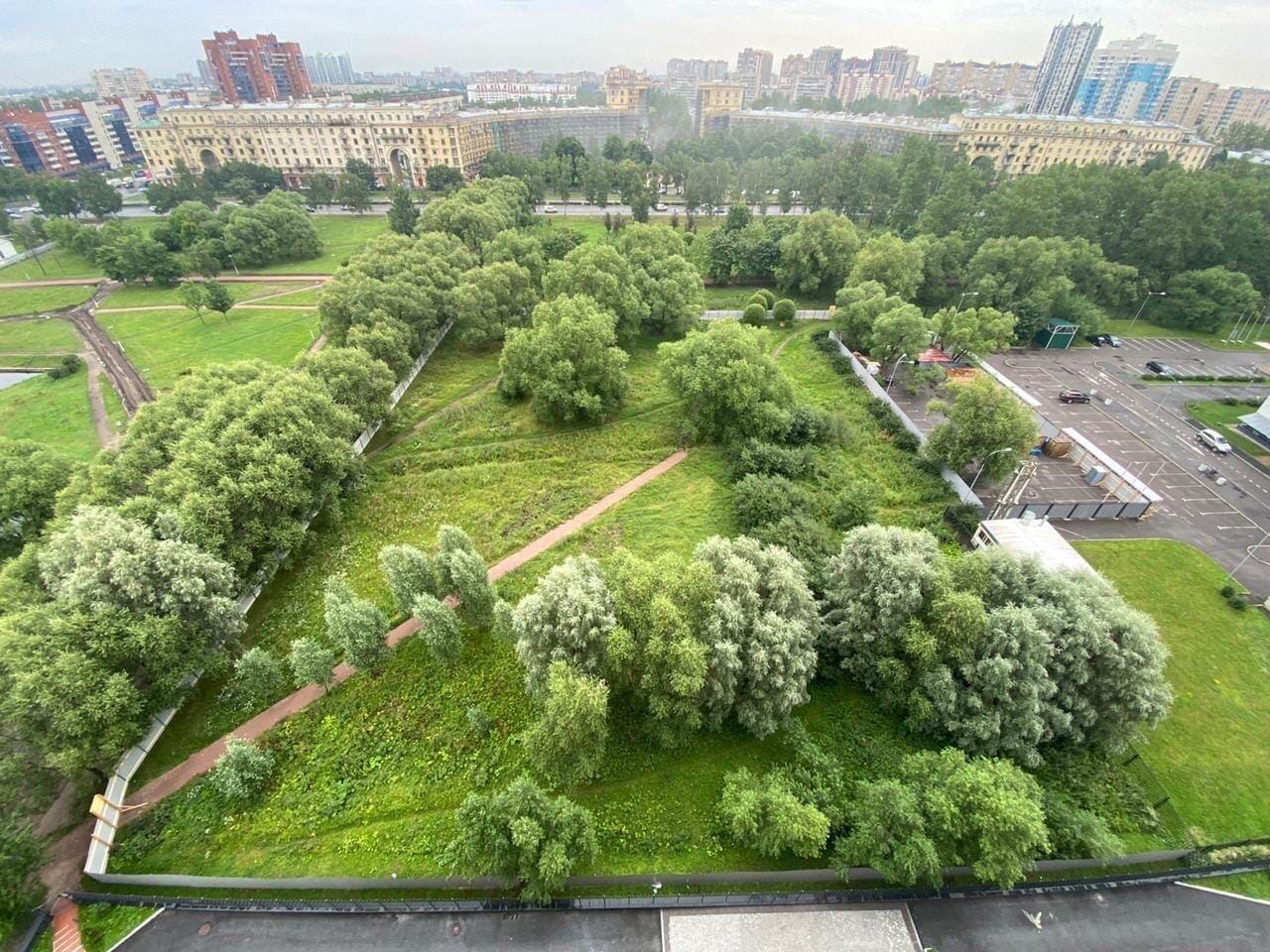 В Пулковском парке вырубили деревья. Фонд поддержки социальных инициатив  Газпрома строит там спорткомплекс | 04.09.2020 | Санкт-Петербург -  БезФормата