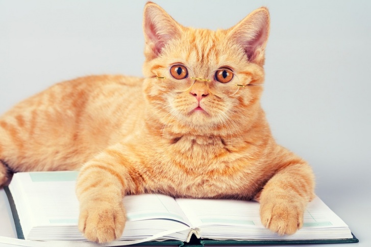 Хотите читать больше? Начните с полезной колонки нашего книжного обозревателя Хотите читать больше? Начните с полезной колонки нашего книжного обозревателя