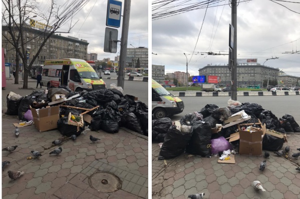 По словам местных жителей, такая картина на остановке — не редкость По словам местных жителей, такая картина на остановке — не редкость 