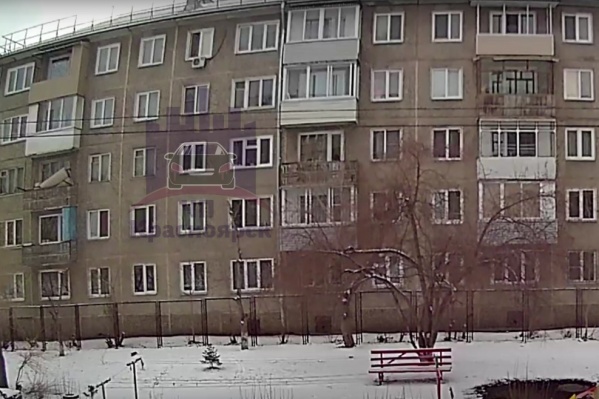 Собаку выбросили у дома № 100 на 60 лет Октября Собаку выбросили у дома № 100 на 60 лет Октября