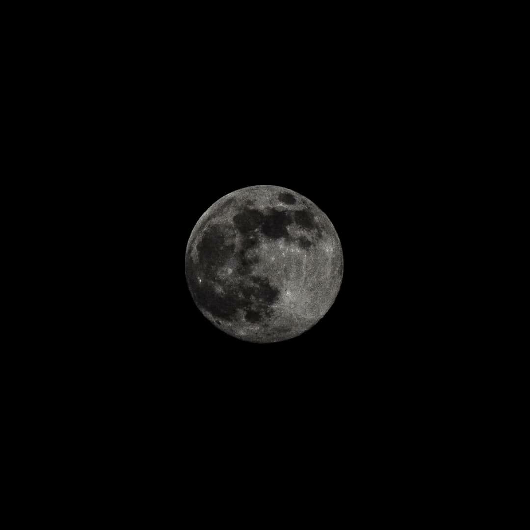Вот она, Луна во всей красе! 99% видимость, через несколько часов полнолуние! Вот она, Луна во всей красе! 99% видимость, через несколько часов полнолуние!