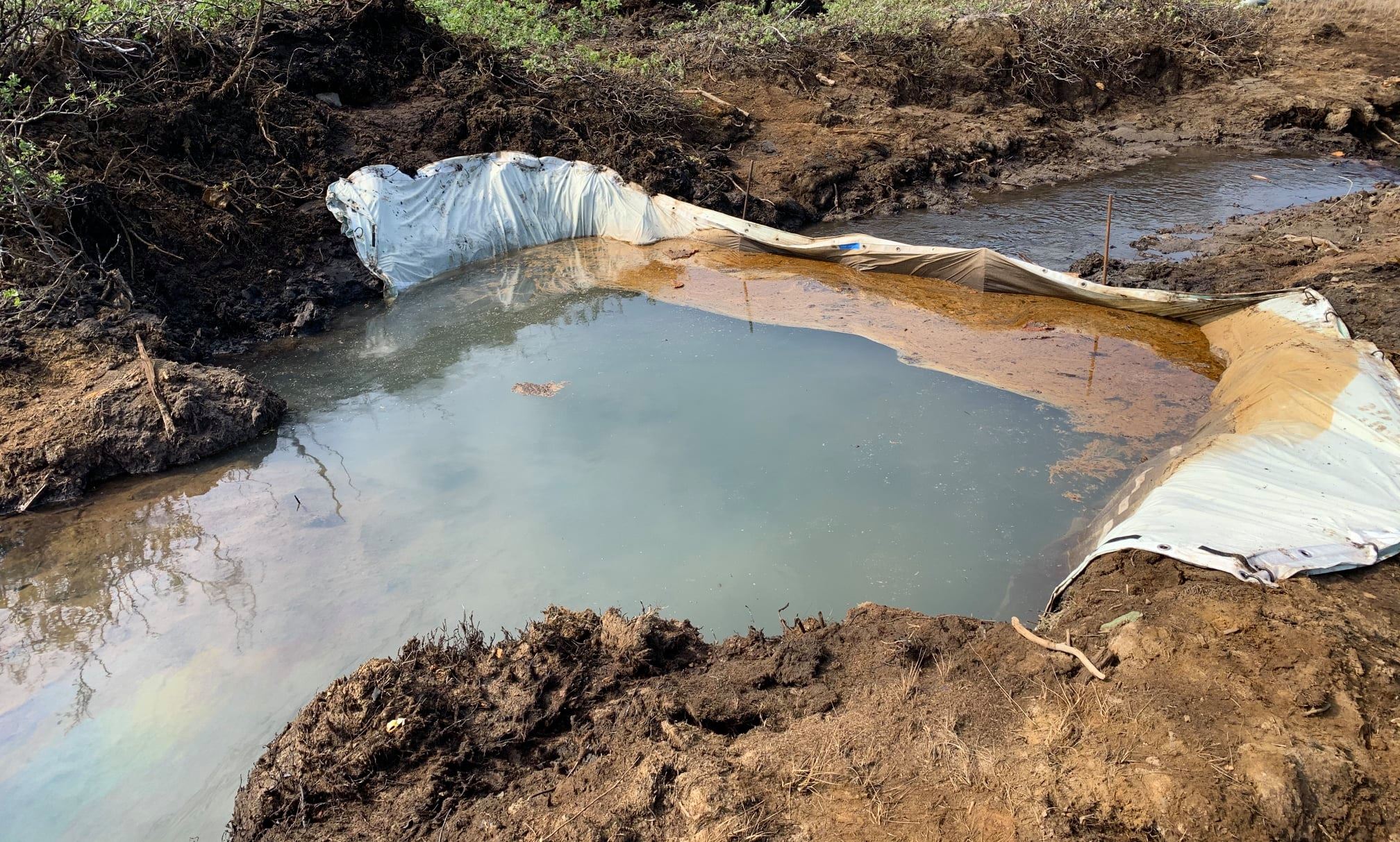 Топливо в воде блестит на солнце Топливо в воде блестит на солнце