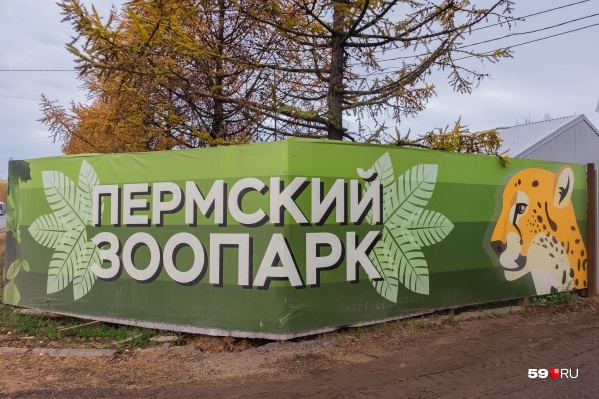 Проектную документацию нового зоопарка скорректируют по итогам проверки Проектную документацию нового зоопарка скорректируют по итогам проверки