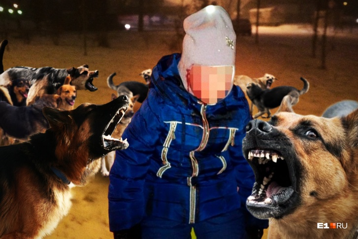 У девочки пострадало лицо, ей сделали операцию У девочки пострадало лицо, ей сделали операцию
