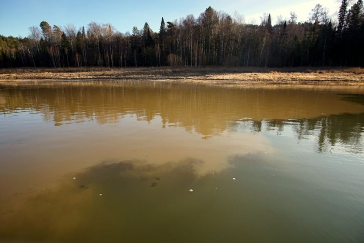 Превышения ПДК различных веществ обнаружили в реке в Манском районе