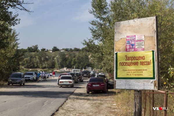 Без ограничений гулять по лесу могут пожарные и лесорубы Без ограничений гулять по лесу могут пожарные и лесорубы