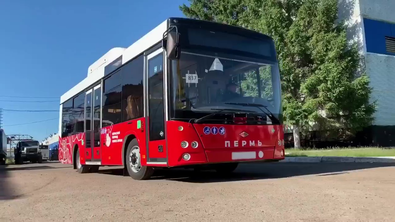В мае краевая администрация купила 24 автобуса Lotos-206 за 259 миллионов рублей
