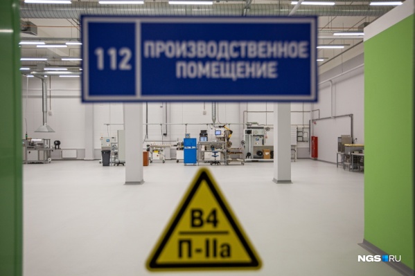 Борьба между акционерами за успешную компанию «Ангиолайн» длится уже больше года Борьба между акционерами за успешную компанию «Ангиолайн» длится уже больше года 