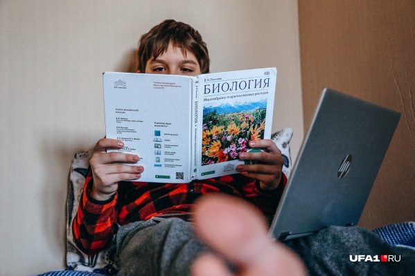 Минусов дистанционного образования больше, чем плюсов. Но что мы приобретем за месяцы обучения дома? Минусов дистанционного образования больше, чем плюсов. Но что мы приобретем за месяцы обучения дома?