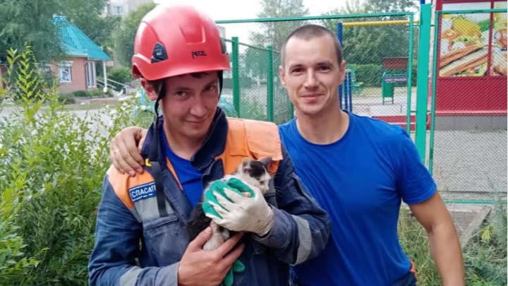 Неравнодушная жительница Минусинска вызвала спасателей, чтобы достать котенка из канализационного люка