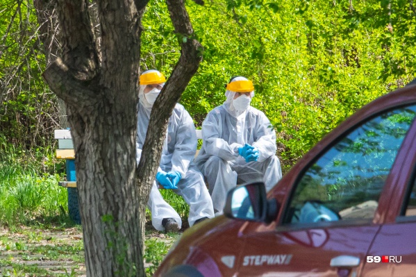 На COVID-19 в Архангельской области к этому дню обследовали уже больше 53 тысяч человек На COVID-19 в Архангельской области к этому дню обследовали уже больше 53 тысяч человек