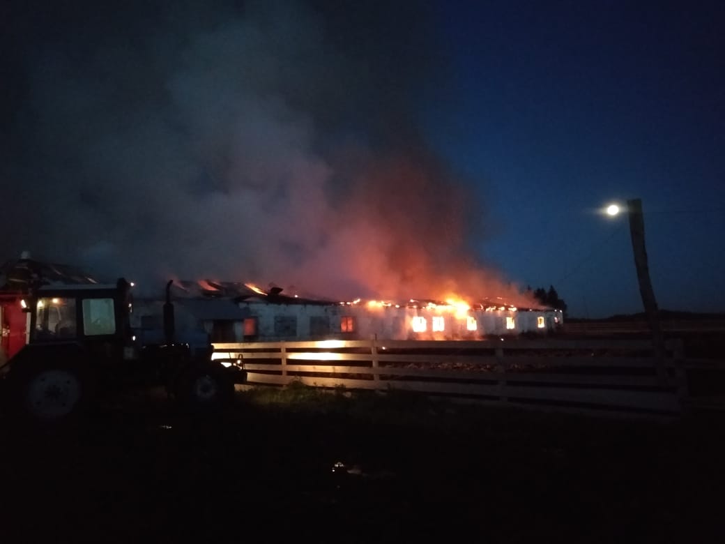 В свердловском селе крупный пожар охватил частную ферму: пришлось эвакуировать сотню коров