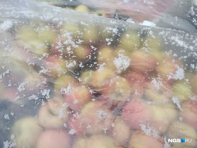 Фрукты закрывают от снега Фрукты закрывают от снега