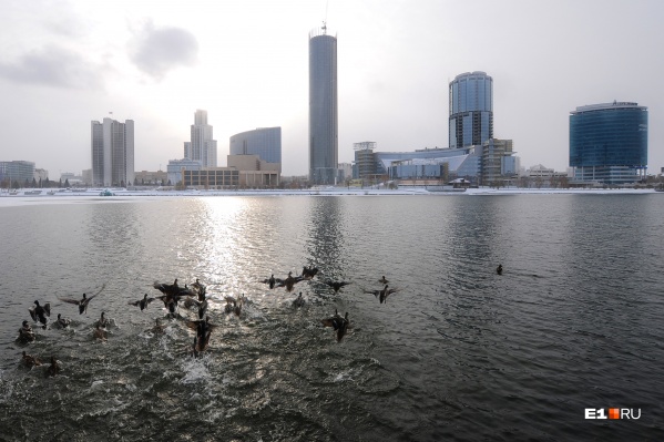 Екатеринбург накрыло снегом Екатеринбург накрыло снегом